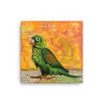 Mixed Media Parakeet Canvas Print